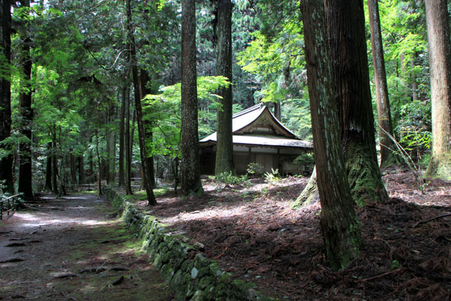 栂ノ尾 高山寺 青もみじ_e0048413_1227516.jpg