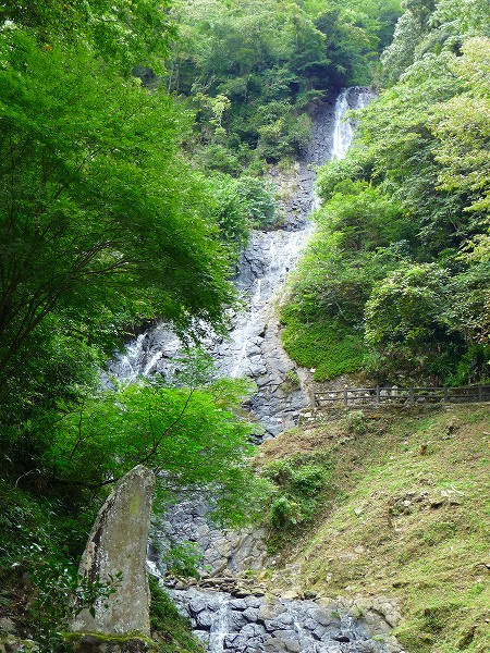 f0182513_16252325.jpg