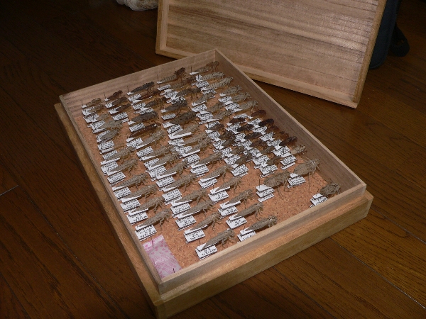 e0002314_22382246.jpg
