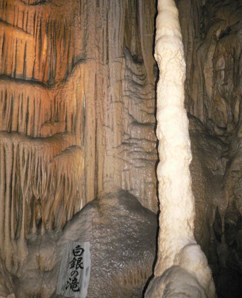 f0125914_09476.jpg