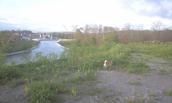 e0227023_23574070.jpg