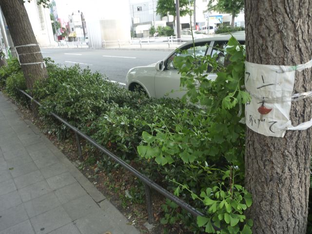 うんこさん_b0054727_9592185.jpg