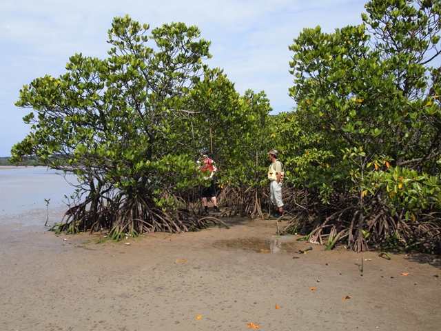 e0205227_25370.jpg