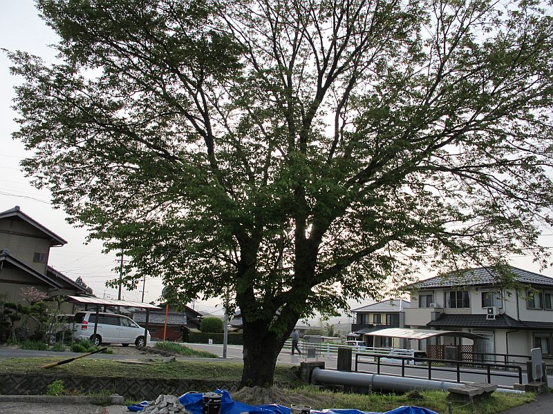 大雨と辰己隊長_f0076731_1885891.jpg