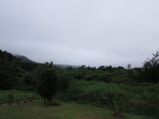 春季・石垣/西表キャンプ(8)_d0010432_1254996.jpg