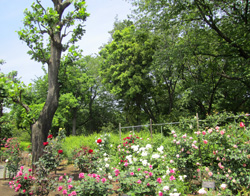 f0038336_8303062.jpg