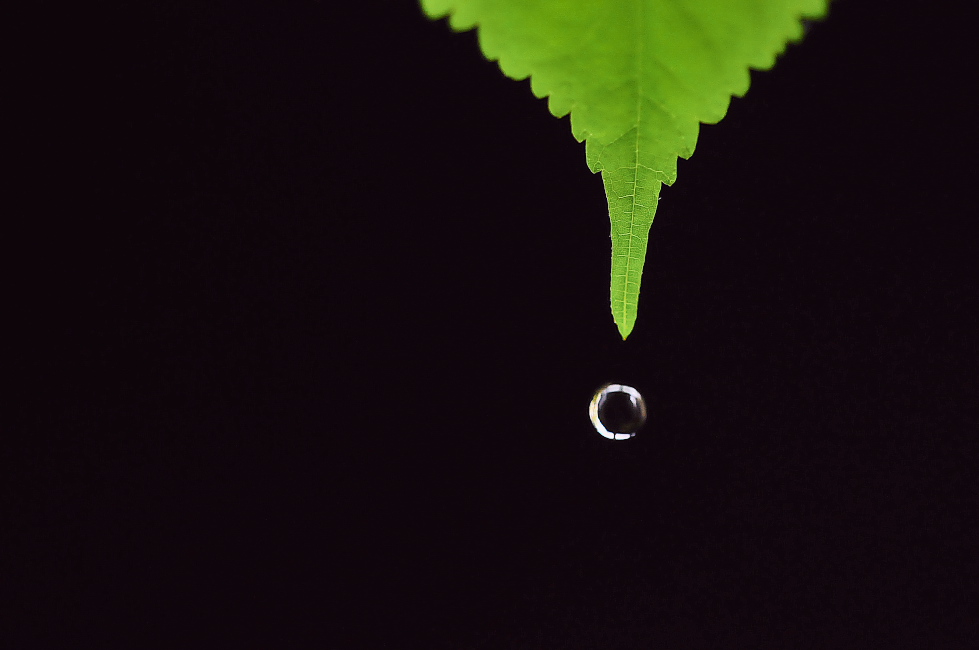 雨が降ります雨が降る_d0138737_23273673.jpg