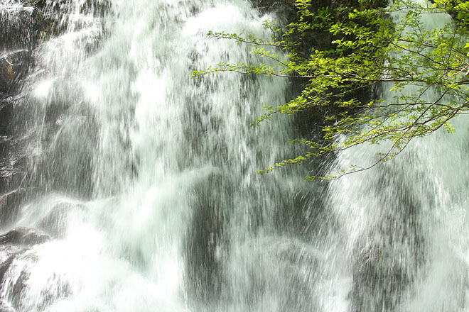 c0067040_23211631.jpg