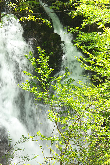 c0067040_23212659.jpg