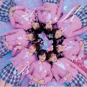 AKB48 全シングル作品 2_d0022648_1740353.jpg