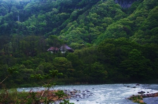 e0126350_1519850.jpg