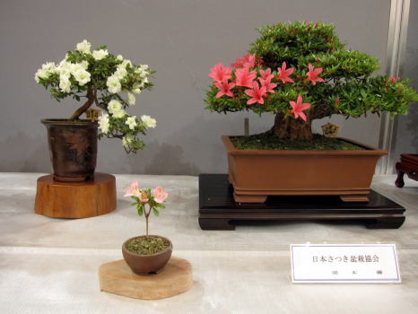 c0147952_11311948.jpg