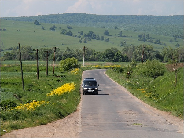 f0140054_04092.jpg