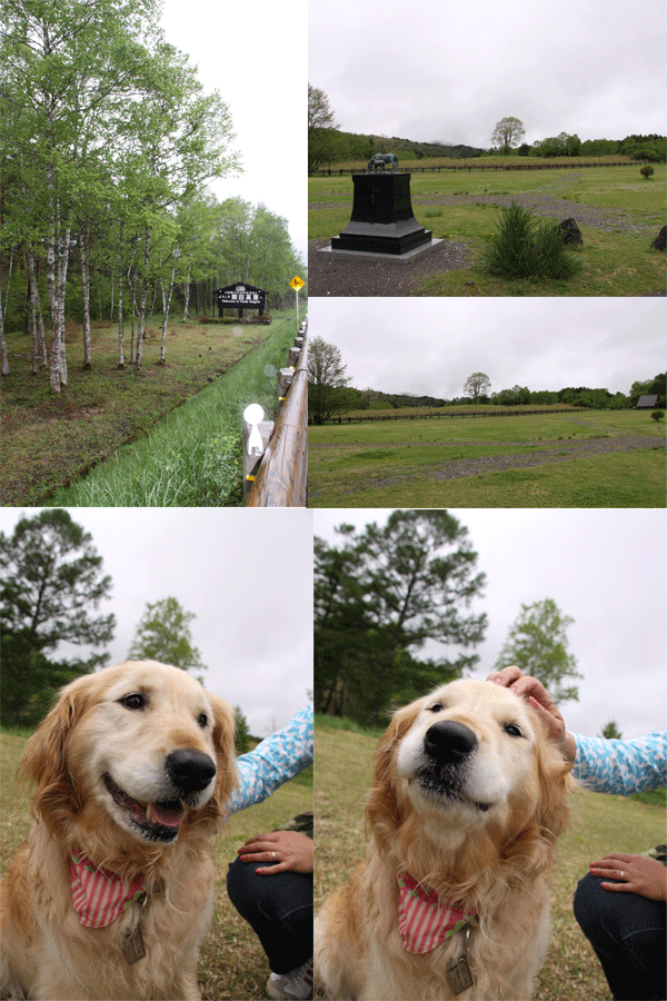 e0149256_7474172.gif