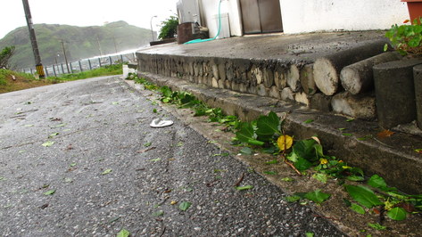 5月28日 台風2号通過_d0113459_10245327.jpg