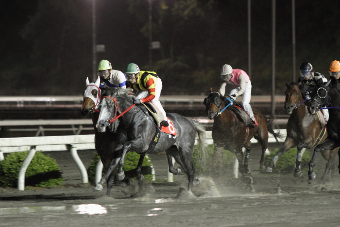 2011年5月28日（土） 高知競馬 10R 高知ぼうしパン特別 C2-1選抜馬_a0077663_1747327.jpg