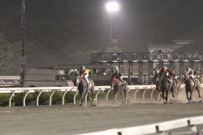 2011年5月28日（土） 高知競馬 10R 高知ぼうしパン特別 C2-1選抜馬_a0077663_17474863.jpg