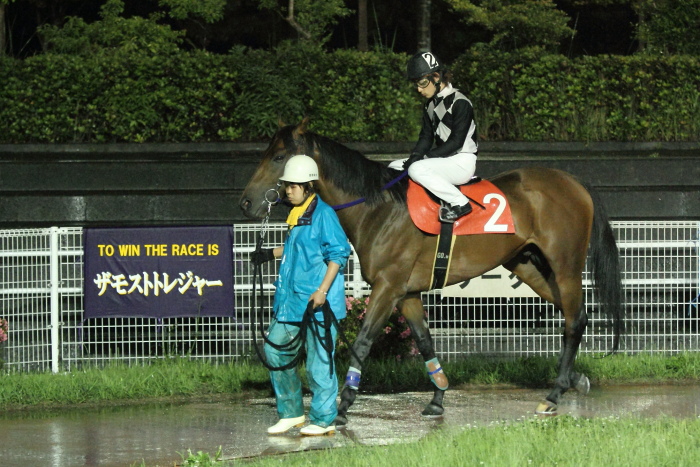 2011年5月28日（土） 高知競馬 10R 高知ぼうしパン特別 C2-1選抜馬_a0077663_1747937.jpg