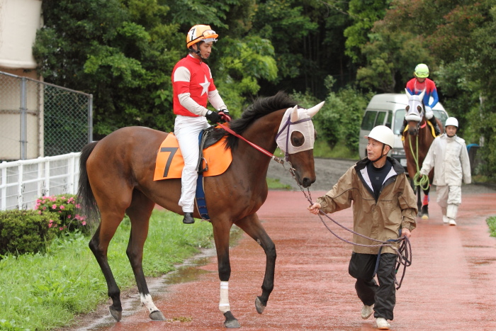 2011年5月28日(土) 高知競馬 4R C3-4_a0077663_1852116.jpg