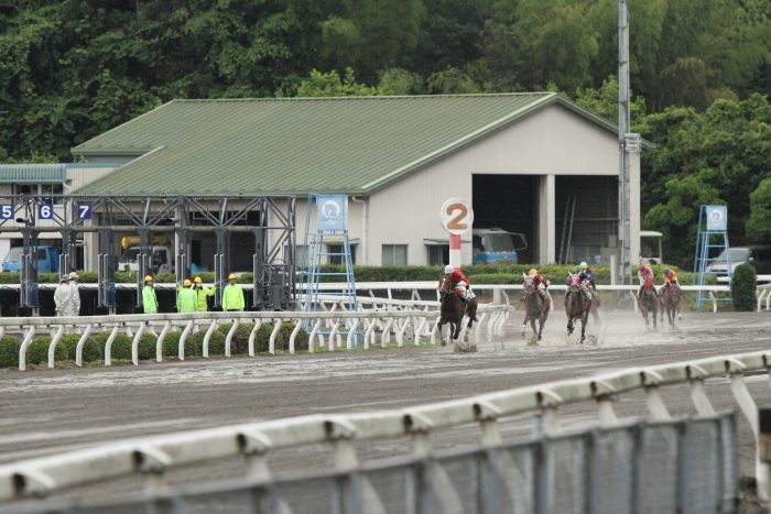 2011年5月28日（土） 高知競馬 4R C3-4_a0077663_18523079.jpg