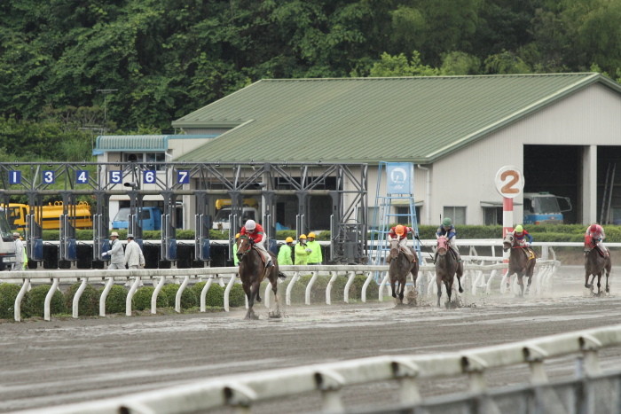 2011年5月28日（土） 高知競馬 4R C3-4_a0077663_18523812.jpg