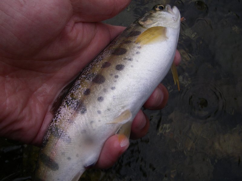 c0214764_221627.jpg