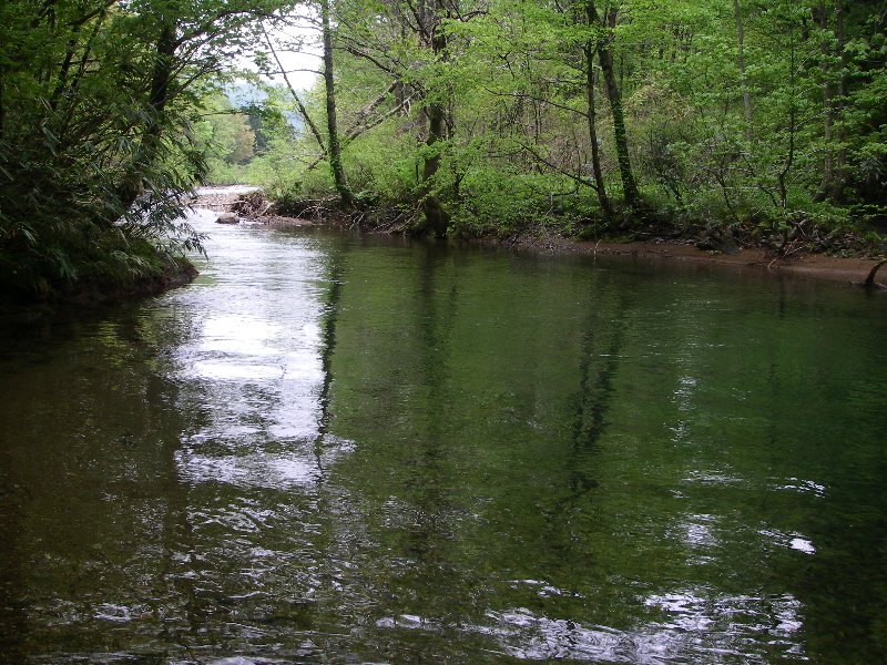 c0214764_22165824.jpg