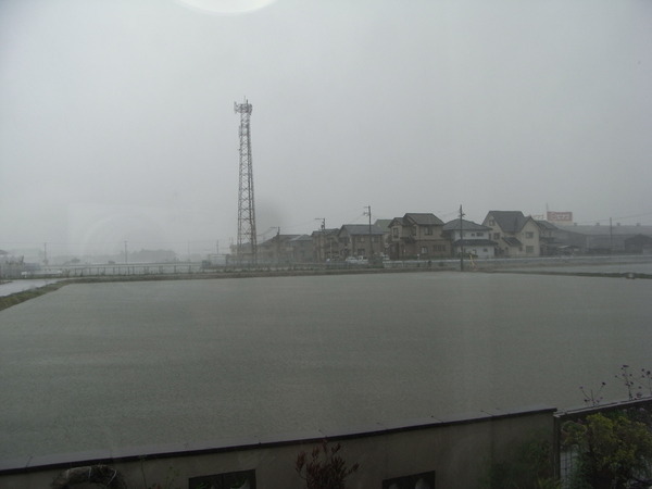 b0194267_20115625.jpg