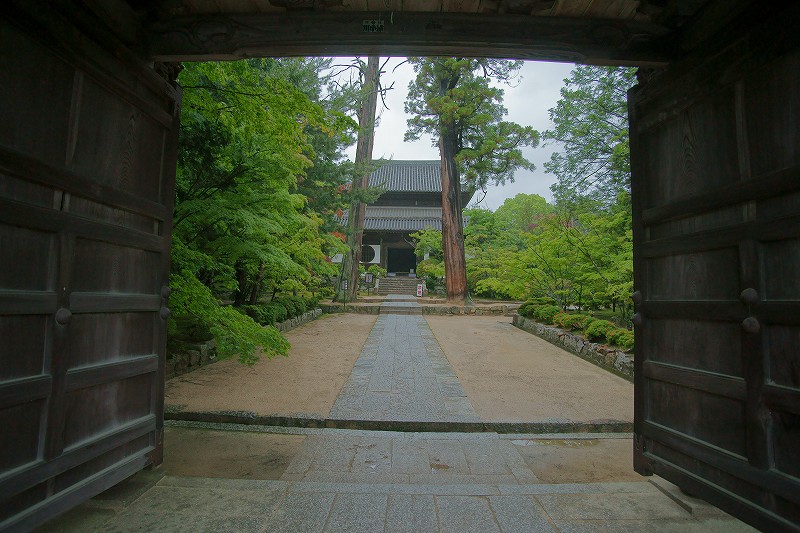 b0198768_036061.jpg