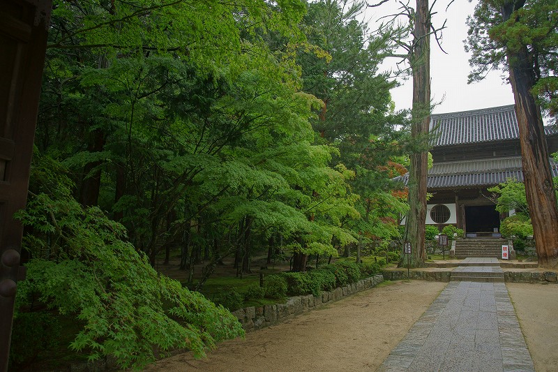 b0198768_0384580.jpg