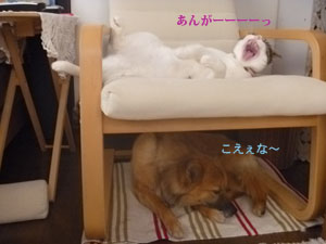 f0238772_10305010.jpg