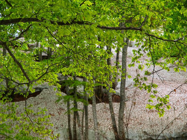 a0025576_20114876.jpg