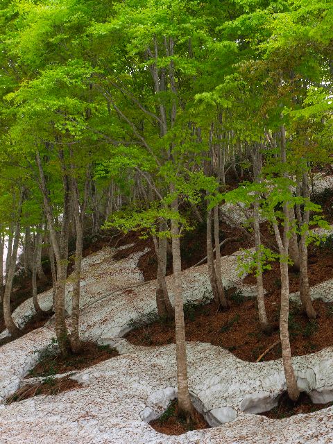 a0025576_20122479.jpg