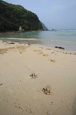 f0037378_7272960.jpg