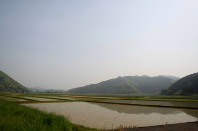 f0037378_729619.jpg