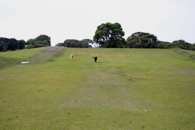 f0037378_733161.jpg