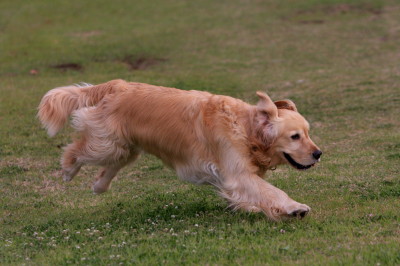 f0037378_7332036.jpg