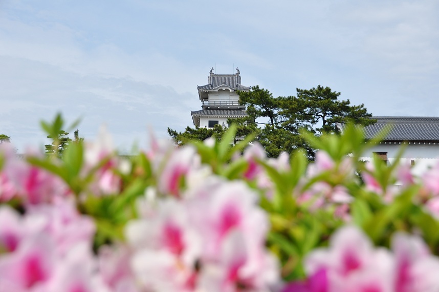 ぷらりのお散歩。*。゜。゜四国旅三日目　写真編_f0225982_11383630.jpg