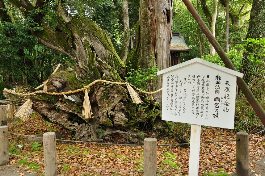 ぷらりのお散歩。*。゜。゜四国旅三日目　写真編_f0225982_11423272.jpg