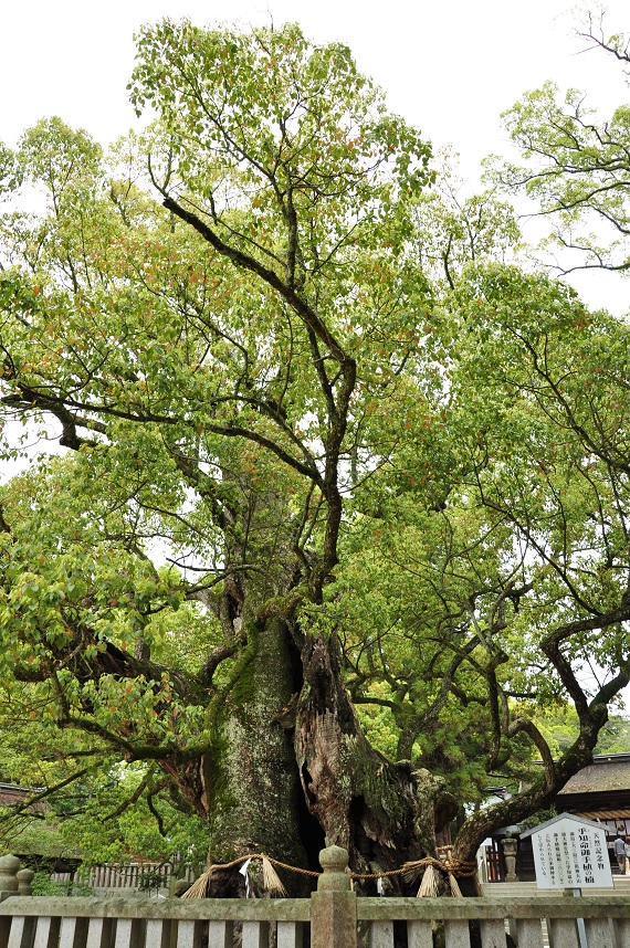 f0225982_1142528.jpg