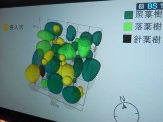 吹上御所の森は「生存競争」の証だろうか_f0085284_20463263.jpg