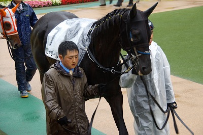 不良馬場でも抜群の切れ味！日本ダービーは、オルフェーヴルが１番人気に応え堂々二冠達成！_b0015386_21373646.jpg