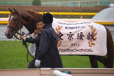 不良馬場でも抜群の切れ味！日本ダービーは、オルフェーヴルが１番人気に応え堂々二冠達成！_b0015386_2140546.jpg