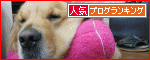 b0146688_19124174.gif