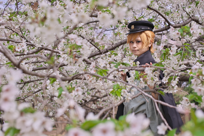 宵月桜ロケ Iga Photo Log 宵月桜ロケ Iga Photo Log