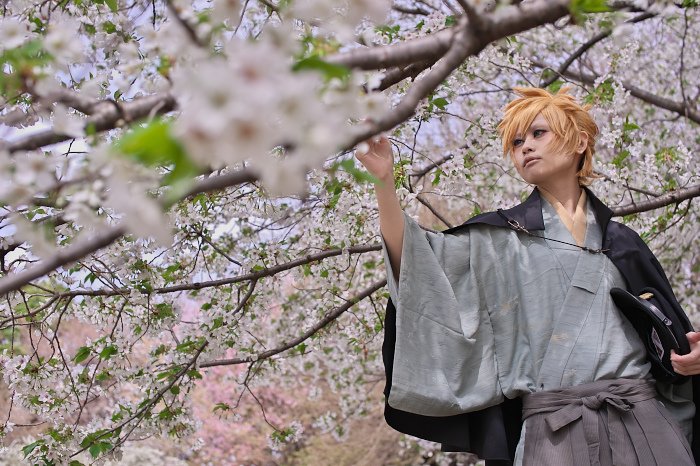 宵月桜ロケ Iga Photo Log 宵月桜ロケ Iga Photo Log