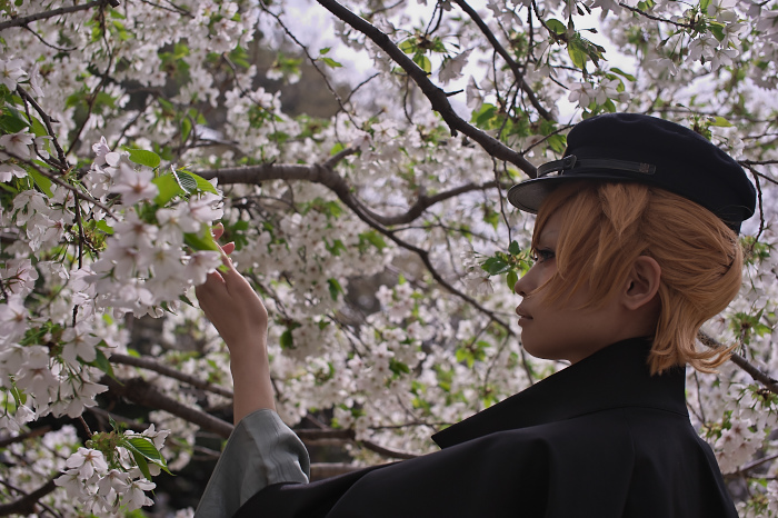 宵月桜ロケ Iga Photo Log 宵月桜ロケ Iga Photo Log