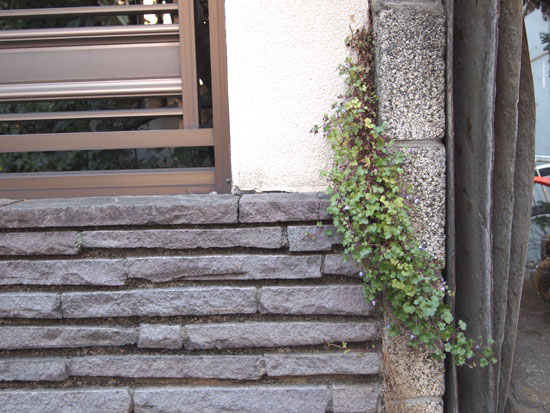 e0133891_22151230.jpg