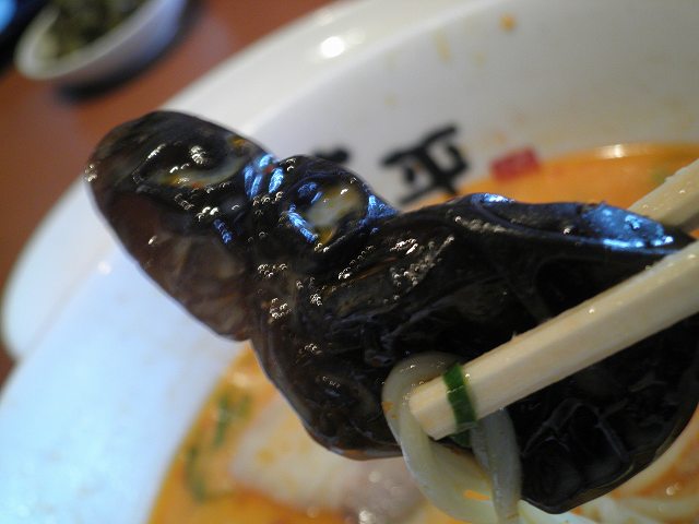 らー麺 藤平 川西多田店_c0118393_1893857.jpg