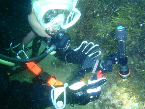 e0115199_20115150.jpg